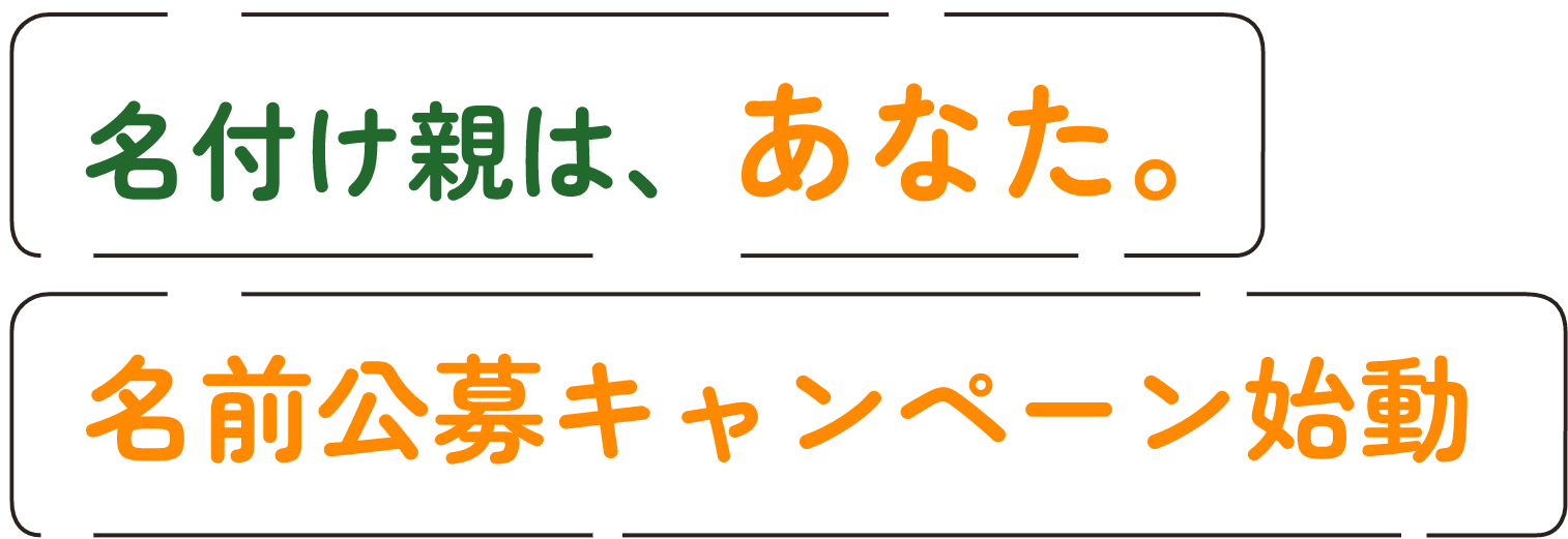 名付け親はあなた、名前公募キャンペーン始動